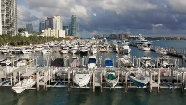 4K volo aereo drone sopra il porto marittimo nel porto di Miami, Florida — Video Stock