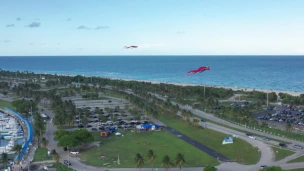 4K 'lık uçurtmalar mavi okyanusun üzerinde süzülüyor. Florida yaz doğası. — Stok video