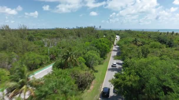 4k vista aérea de la carretera del parque pasa a través de la lujosa naturaleza tropical — Vídeo de stock