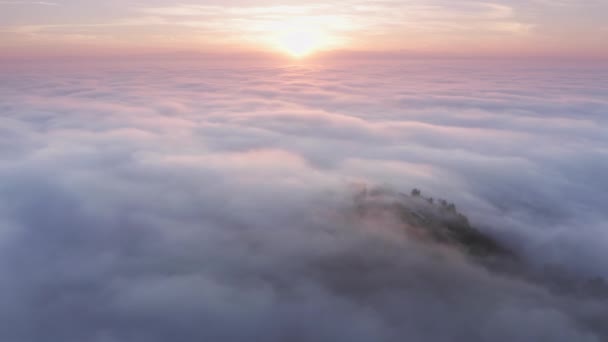 Aérea sobre nubes rosadas por encima de la cima de la montaña en el mágico amanecer dorado, EE.UU. — Vídeos de Stock