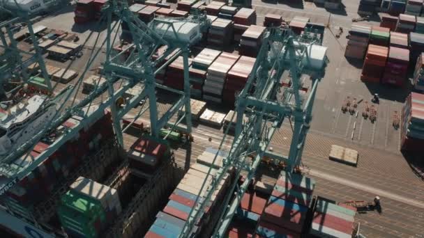 4K-Antenne des Industriehafens, Los Angeles, USA. Verladung Containerschiff, Fracht — Stockvideo