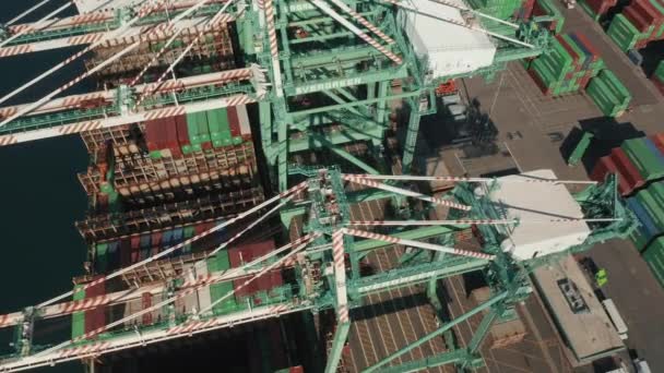 4K anténa průmyslového přístavu, Los Angeles, USA. nákladní kontejnerová loď, náklad — Stock video