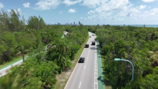 4k vista aérea de la carretera del parque que conduce a través de la naturaleza tropical lujosa — Vídeos de Stock