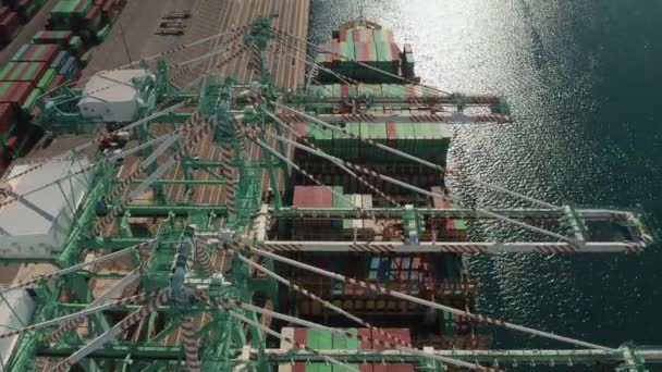 4K antenn från industrihamn, Los Angeles, USA. lastcontainerfartyg, last — Stockvideo