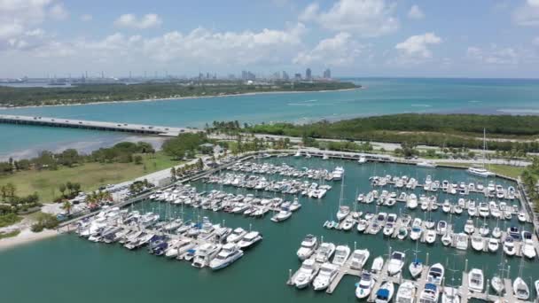 4K antenn ovanifrån på båtarna i marinan hamnen, Miami centrum — Stockvideo