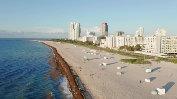 4K flygbild på vit sandstrand. Miami South beach tropisk natur på morgonen — Stockvideo