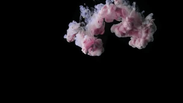 Różowy różowy płyn perłowy farby eksplodują, tworząc piękną chmurę, slow motion — Wideo stockowe