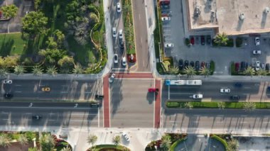 Miami şehir parkı doğası. Günbatımında modern kıyı şehrinin sinematik havası
