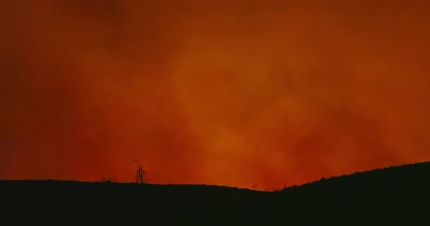 Filmisk bild av ljusa orange moln av rök från löpeld på mörk natt — Stockvideo