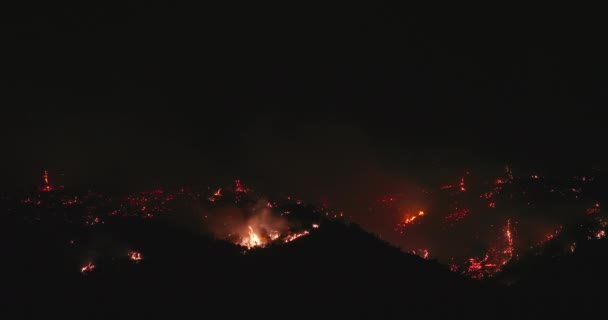 Wilde brand op de late avond in het donker. 4K-rook veroorzaakt vervuiling, klimaatverandering — Stockvideo