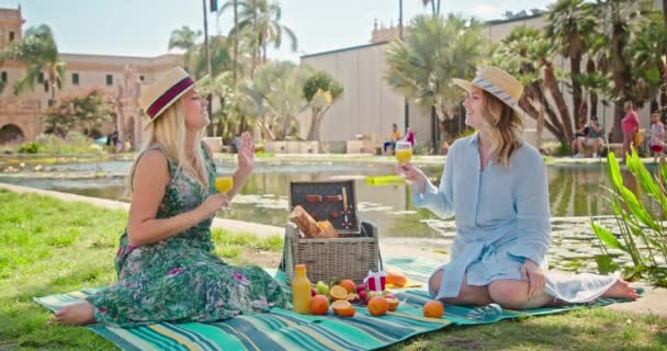 Dos novias sonrientes están hablando y riendo mientras están sentadas en el picnic, 4K — Vídeo de stock