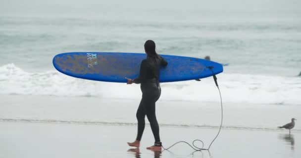 Plaża Malibu, wybrzeże Pacyfiku, 2020. Powolny ruch 4K surfera z kolorowym pokładzie — Wideo stockowe