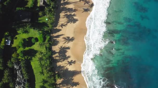Droom vakantie 4K luchtbeelden. Film reizen top down Hawaiiaans uitzicht op het strand — Stockvideo
