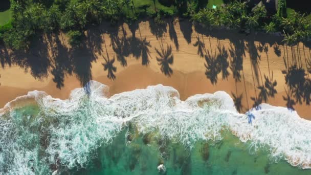 Perjalanan mimpi ke pulau hijau. Petualangan luar ruangan. Pantai Hawaii yang indah 4K — Stok Video