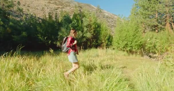 Seitenansicht des Wandermädchens im roten klassischen Hemd, das mit Rucksack durch die Wiese geht — Stockvideo