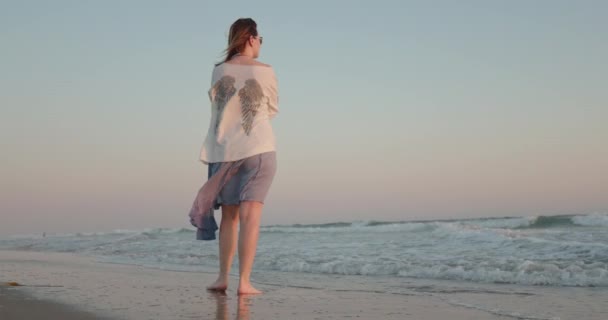 Nő szemléli a festői látványosság és élvezi a természet rózsaszín naplemente — Stock videók