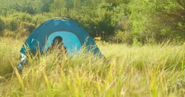 Mujer joven está sentada en la tienda de campaña azul brillante en el césped verde en el bosque — Vídeos de Stock