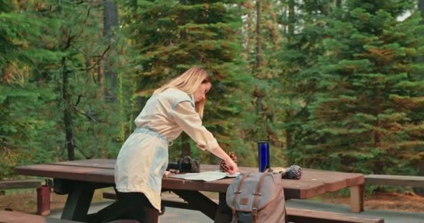 Model reiziger in de picknickplaats met dennenbos op bewegende achtergrond, USA — Stockvideo