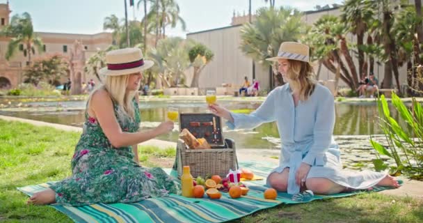 Freunde beim Picknick im grünen Park. Zwei lächelnde Freundinnen reden und lachen — Stockvideo