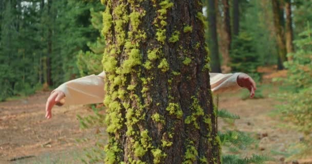 Miłośnik przyrody w słoneczny jesienny dzień. Ekolog ściska drzewo w lesie, 4K — Wideo stockowe