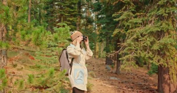 Viaggiatore femminile che fotografa la foresta verde nella soleggiata giornata autunnale, 4K — Video Stock