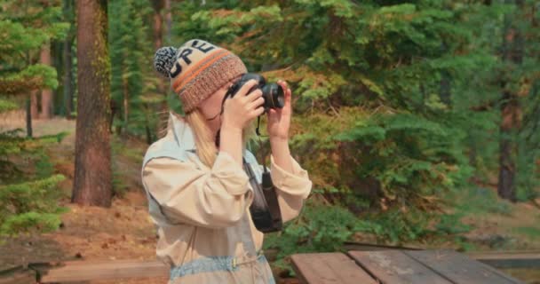 Женщина фотографирует осенний лес на камеру в солнечный холодный осенний день — стоковое видео