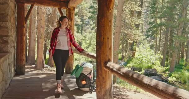 Kobieta turystka przechadzająca się po drewnianym ganku w jesiennym lesie. Dzicz 4K — Wideo stockowe