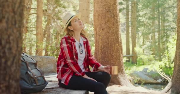 Αργή κίνηση θετική χαμογελαστή γυναίκα κάθεται στο πράσινο δάσος και να θαυμάσουν τη φύση, 4K — Αρχείο Βίντεο