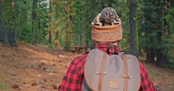 El hombre en la naturaleza. Actividades al aire libre. Vista posterior de la persona que camina en el sendero forestal — Vídeo de stock