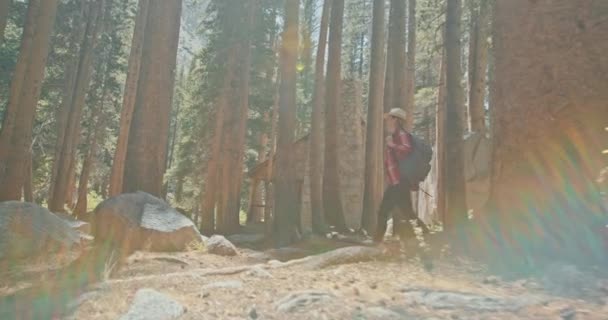 Mujer excursionista en el bosque día soleado. Viajero con mochila disfrutando de la naturaleza al aire libre — Vídeos de Stock