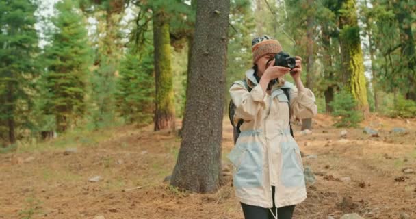 Mujer excursionista en el bosque día soleado. Viajero con mochila disfrutando de la naturaleza al aire libre — Vídeos de Stock
