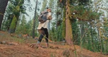 Yeşil ormanda ağır çekimde yürüyen kadın. Düşük açılı kadın yolcu, 4K