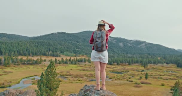 가을에 바위 위에서 있는 빨간 클래식 셔츠를 입고 여행하는 사람 — 비디오