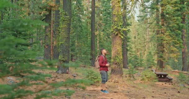 Voyageur masculin marchant dans la forêt verte et prenant des photos d'arbres verts — Video