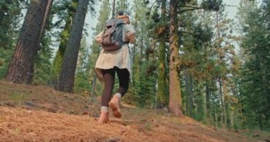 Sinema geçmişi olan sırt çantalı bir yürüyüşçü. Yeşil ormanda yürüyen bir kadın