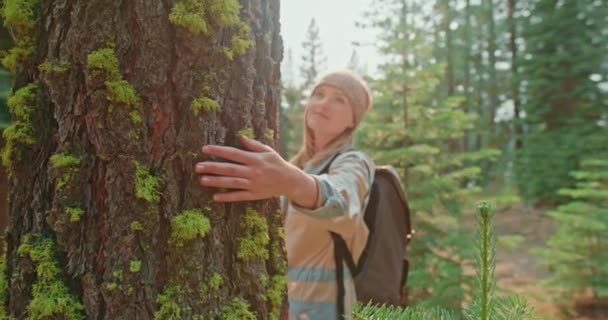 Los humanos cuidan de la naturaleza. La mano de la hembra toca suavemente la corteza del árbol en el bosque — Vídeos de Stock