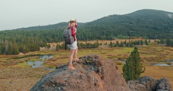 Женщина-туристка на скале наслаждается кинематографическим видом на лес и живописными пейзажами — стоковое видео