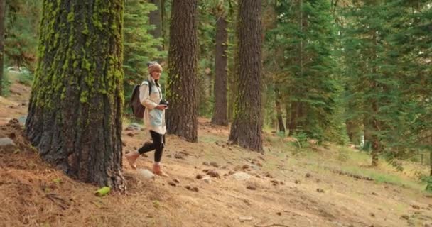 映画のような美しい山々、 4Kで松林を歩く旅行ブロガー — ストック動画