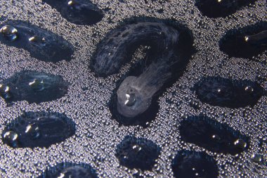 soru işareti üzerinde ıslak cam damla su yakın kadar doku