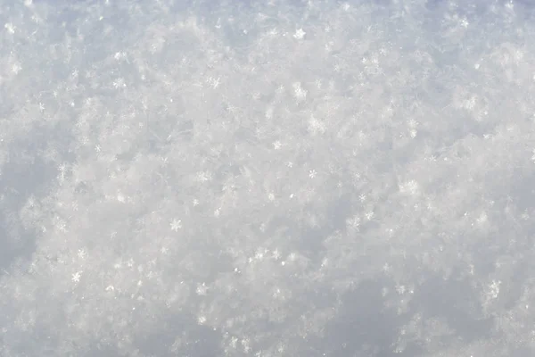 Sneeuw grote sneeuwvlokken zichtbare textuur winterdag — Stockfoto