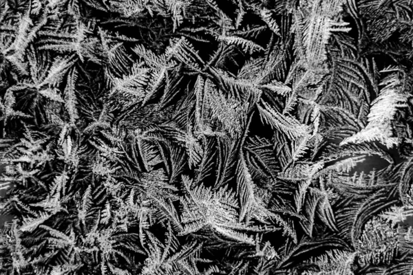 Donuk orijinal desen, siyah ve beyaz, pürüzsüz.