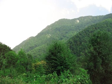 Dağ yeşili manzara Mavi gökyüzü bulutlu