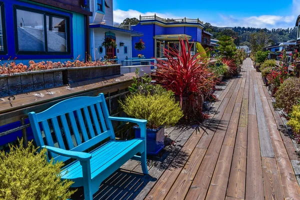 サウサリート カリフォルニア州サンフランシスコ アメリカ合衆国在住のハウスボートの鉢植えで飾られたカラフルな通路 ロイヤリティフリーのストック画像
