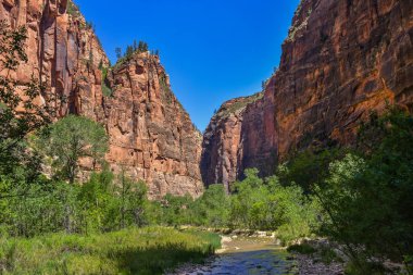 Hiking trail boyunca ve dağ uçuruma Zion National Park, Utah, ABD, üzerinden bir güneşli yaz gününde çalışan sığ