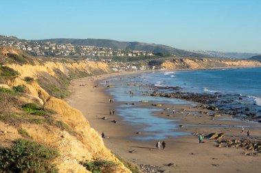 ABD, Newport Beach - 19 Ocak 2019 - Crystal Cove beach Crystal Cove Devlet Parkı ' - resim görüntüleyin