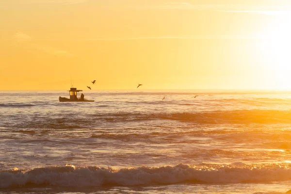 Shore, California, ABD yanında gün batımında balık tutma martılar ardından küçük tekne