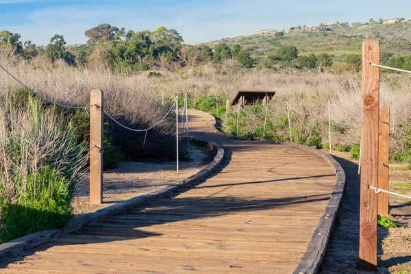 Bir vahşi parkta kuru ot geçmekte ahşap yürüyüş yolu