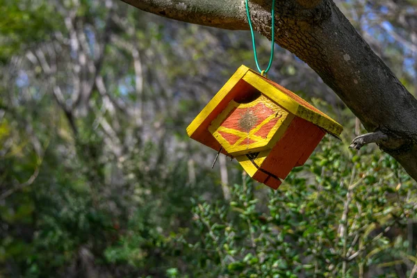 Bir ağaç dalı ile yeşil yeşillik arka plan asılı ahşap kuş evi