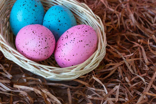 Four pink and blue Easter eggs in a basket on wooden floor covered with straw background. Easter celebratory wallpaper with copy space.