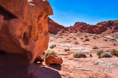 Doğal portakal kumtaşı oluşumları çölde. Alev vadisinde Milli Parkı, Nevada, Amerika Birleşik Devletleri. Sıcak kuru iklim arka plan.